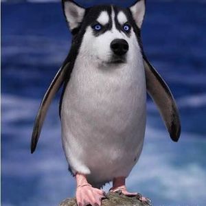 Meet your Posher, Jack